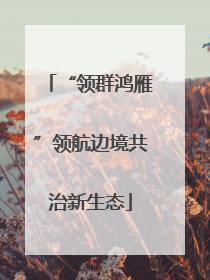 “领群鸿雁”领航边境共治新生态