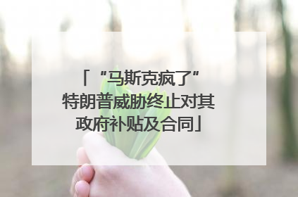 “马斯克疯了” 特朗普威胁终止对其政府补贴及合同