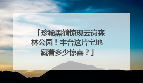 珍稀黑鹳惊现云岗森林公园！丰台这片宝地藏着多少惊喜？
