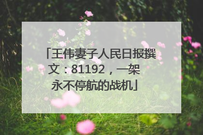 王伟妻子人民日报撰文：81192，一架永不停航的战机