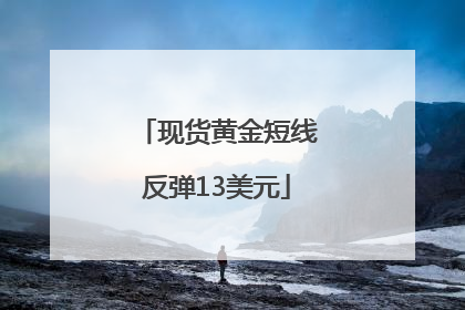 现货黄金短线反弹13美元