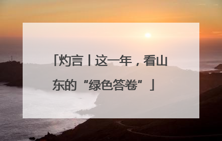 灼言丨这一年，看山东的“绿色答卷”