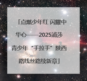 点燃少年红 闪耀中华心——2025浦莎青少年“手拉手”陕西路线丝路续新章