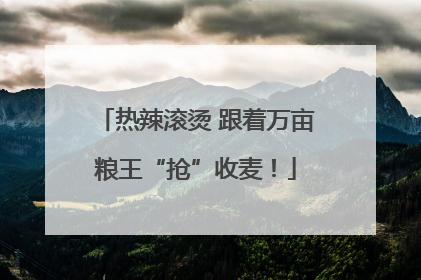 热辣滚烫 跟着万亩粮王“抢”收麦！