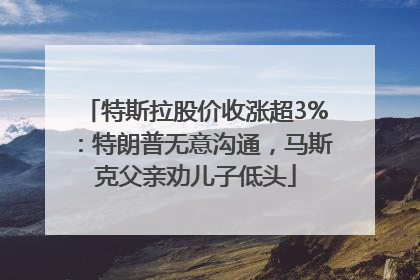 特斯拉股价收涨超3%：特朗普无意沟通，马斯克父亲劝儿子低头