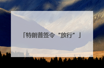 特朗普签令“放行”
