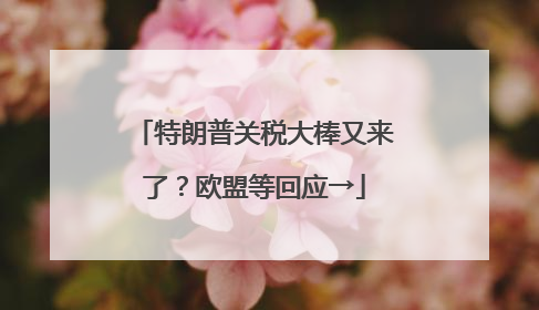 特朗普关税大棒又来了？欧盟等回应→