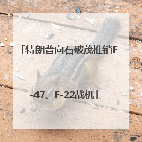 特朗普向石破茂推销F-47、F-22战机