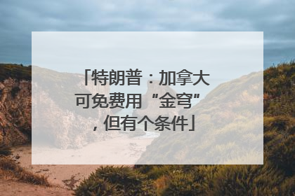 特朗普：加拿大可免费用“金穹”，但有个条件