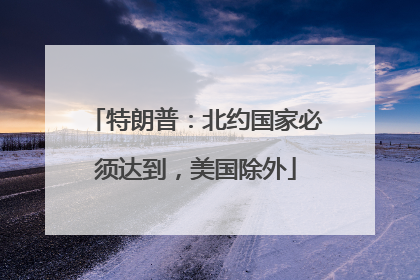 特朗普：北约国家必须达到，美国除外
