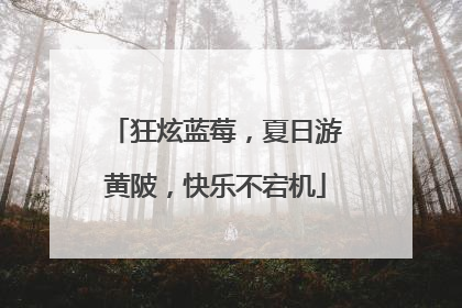 狂炫蓝莓，夏日游黄陂，快乐不宕机