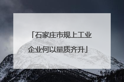 石家庄市规上工业企业何以量质齐升