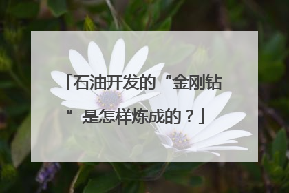 石油开发的“金刚钻”是怎样炼成的？