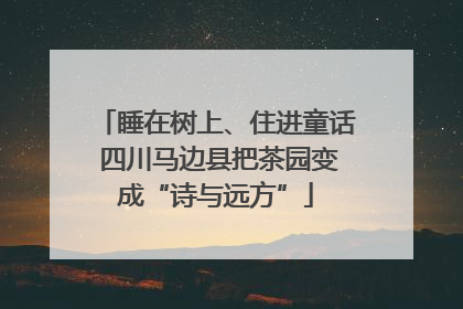 睡在树上、住进童话 四川马边县把茶园变成“诗与远方”