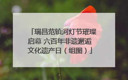 瑞昌范镇河灯节璀璨启幕 六百年非遗邂逅文化遗产日（组图）
