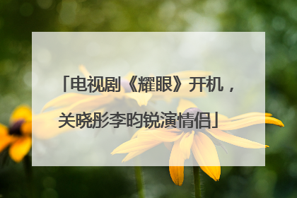 电视剧《耀眼》开机，关晓彤李昀锐演情侣