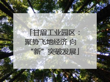 甘眉工业园区：聚势飞地经济 向“新”突破发展
