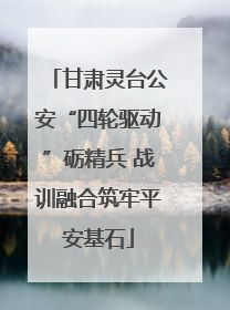 甘肃灵台公安“四轮驱动”砺精兵 战训融合筑牢平安基石