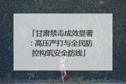 甘肃禁毒成效显著：高压严打与全民防控构筑安全防线