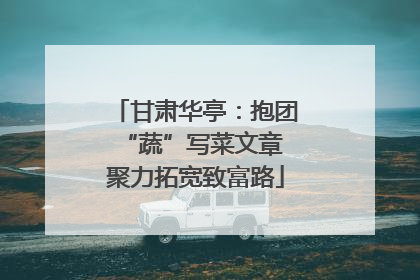 甘肃华亭：抱团“蔬”写菜文章 聚力拓宽致富路