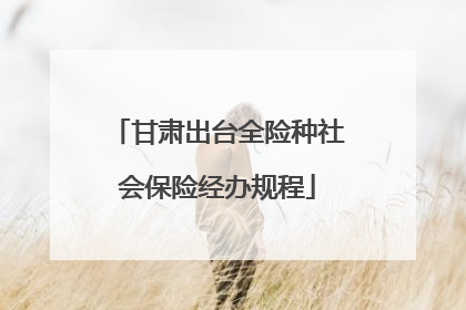 甘肃出台全险种社会保险经办规程