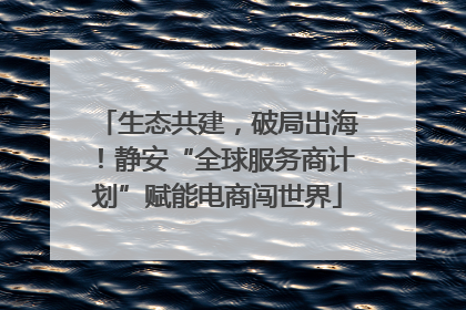 生态共建，破局出海！静安“全球服务商计划”赋能电商闯世界