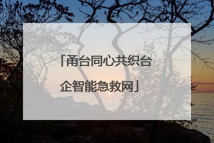 甬台同心共织台企智能急救网