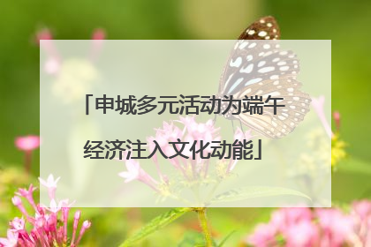 申城多元活动为端午经济注入文化动能