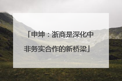 申坤：浙商是深化中非务实合作的新桥梁