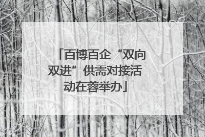 百博百企“双向双进”供需对接活动在蓉举办