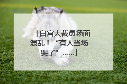 白宫大裁员场面混乱！“有人当场哭了”……
