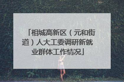 相城高新区（元和街道）人大工委调研新就业群体工作情况
