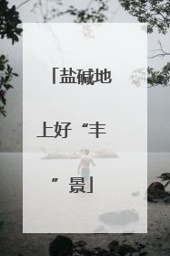 盐碱地上好“丰”景