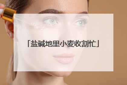 盐碱地里小麦收割忙