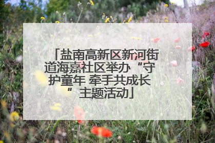 盐南高新区新河街道海嘉社区举办“守护童年 牵手共成长”主题活动