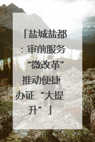 盐城盐都：审前服务“微改革” 推动便捷办证“大提升”