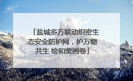 盐城多方联动织密生态安全防护网，护万物共生 绘和美画卷