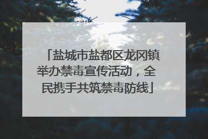 盐城市盐都区龙冈镇举办禁毒宣传活动，全民携手共筑禁毒防线