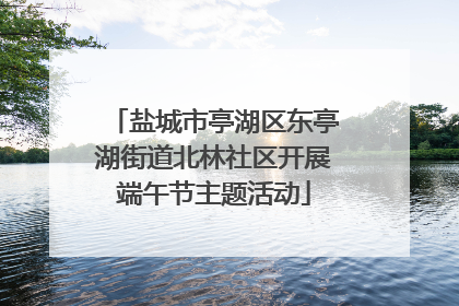 盐城市亭湖区东亭湖街道北林社区开展端午节主题活动