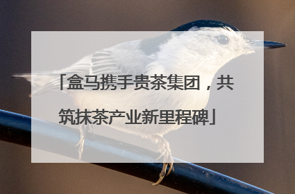 盒马携手贵茶集团，共筑抹茶产业新里程碑