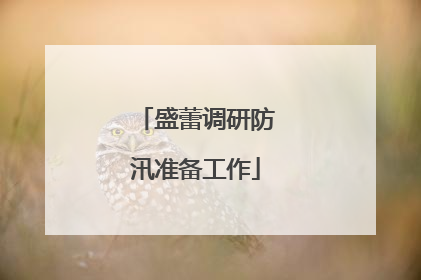 盛蕾调研防汛准备工作
