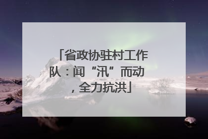 省政协驻村工作队：闻“汛”而动，全力抗洪