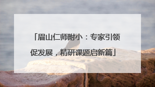 眉山仁师附小：专家引领促发展，精研课题启新篇