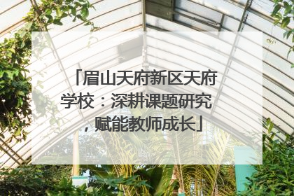 眉山天府新区天府学校：深耕课题研究，赋能教师成长