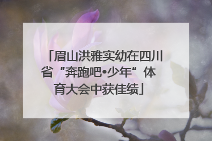 眉山洪雅实幼在四川省“奔跑吧•少年”体育大会中获佳绩