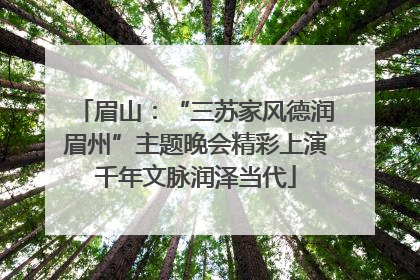 眉山：“三苏家风德润眉州”主题晚会精彩上演千年文脉润泽当代