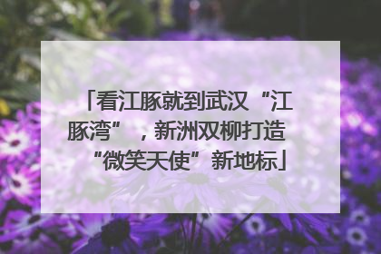 看江豚就到武汉“江豚湾”，新洲双柳打造“微笑天使”新地标