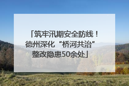 筑牢汛期安全防线！德州深化“桥河共治”整改隐患50余处