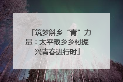 筑梦斛乡“青”力量：太平畈乡乡村振兴青春进行时