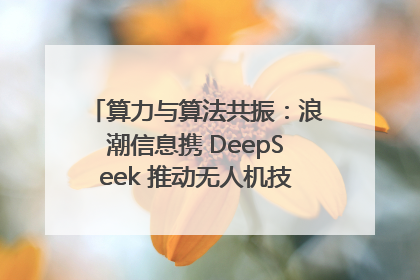 算力与算法共振：浪潮信息携 DeepSeek 推动无人机技术在舟山落地